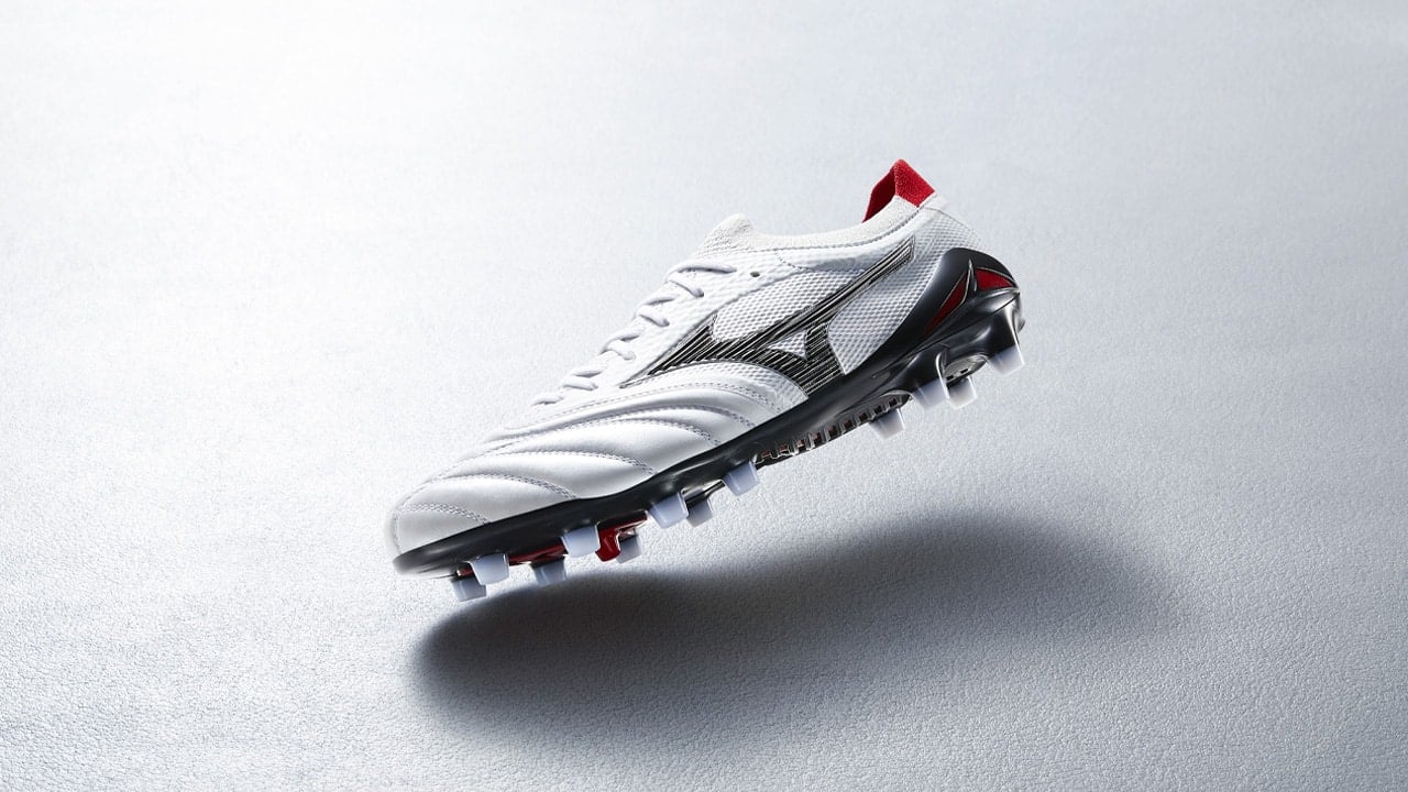 Morelia Beta IV